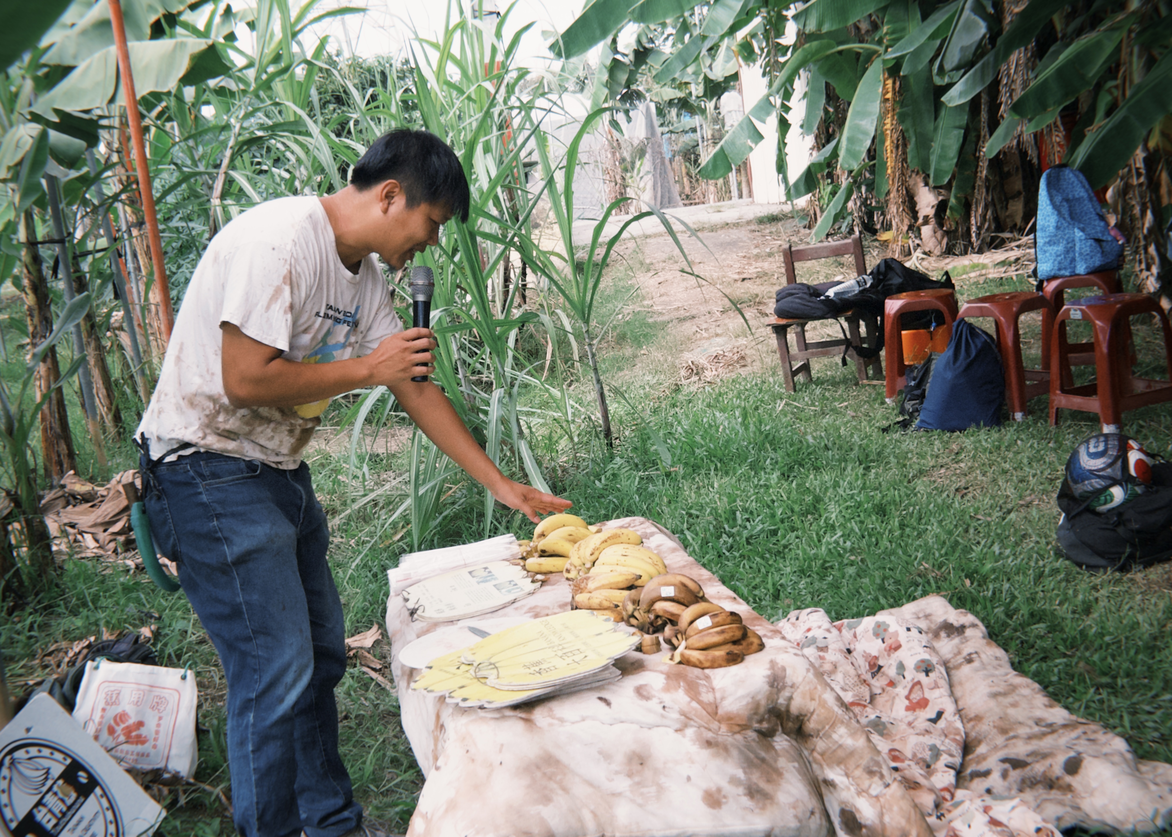 Kaohsiung Banana Farm Fieldwork